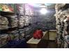 Shop-Mulgi for Sale in Koti
